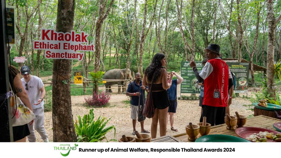 Khao Lak: 2-Hour Elephant Sanctuary Eco-Walk with Guided - Why this Khao Lak elephant visit feels different