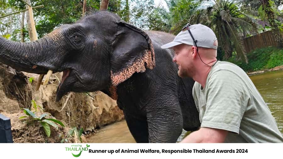 Khao Lak: 2-Hour Elephant Sanctuary Eco-Walk with Guided - Feeding bananas and sugar cane up close