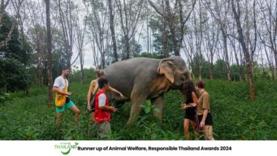 Khao Lak: 2-Hour Elephant Sanctuary Eco-Walk with Guided