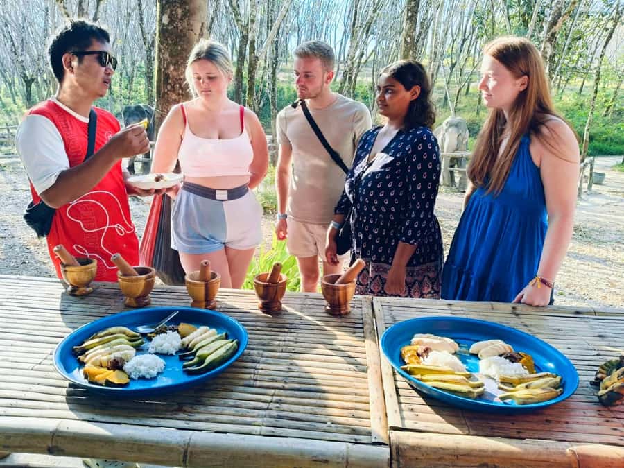 Khao Lak: 2-Hour Elephant Sanctuary Eco-Walk with Guided - The water session: observe first, participate only if invited