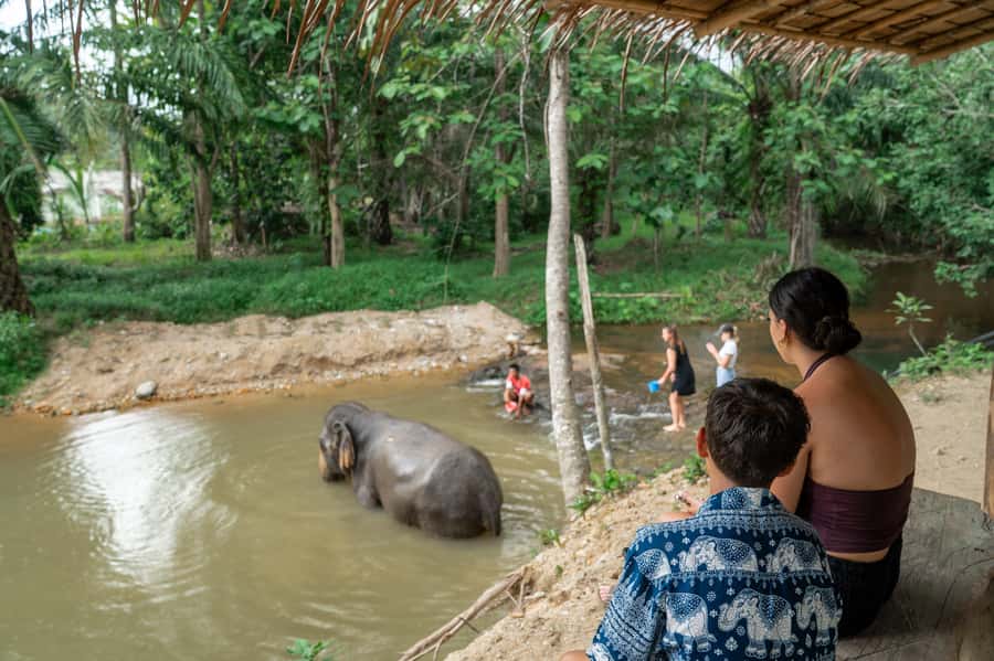 Khao Lak: 2-Hour Elephant Sanctuary Eco-Walk with Guided - Who should book this eco-walk?