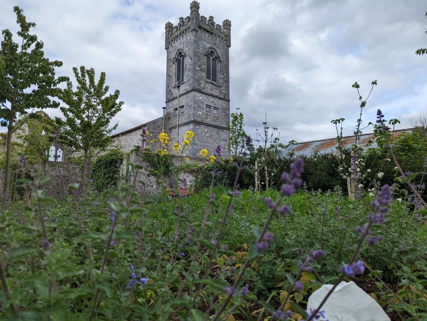 Kilkenny: Historical Highlights Walking Tour - The library and Great War Memorial