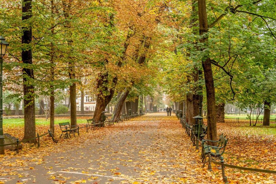 Krakow: Old Town Guided Walking Tour - Is $32 Good Value?