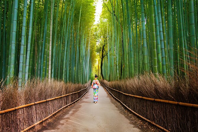 Kyoto Arashiyama Walking Tour: Bamboo, Monkeys, Gardens & Secrets - Why this tour makes Arashiyama easier