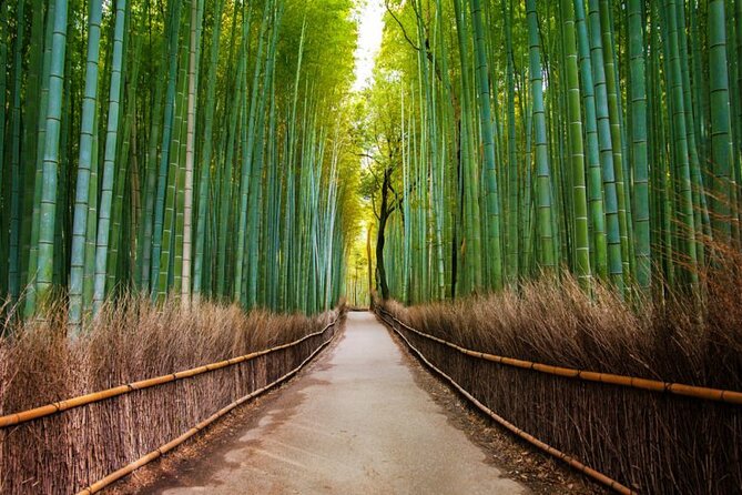 Kyoto Arashiyama Walking Tour: Bamboo, Monkeys, Gardens & Secrets - Okochi Sanso Garden beyond the bamboo