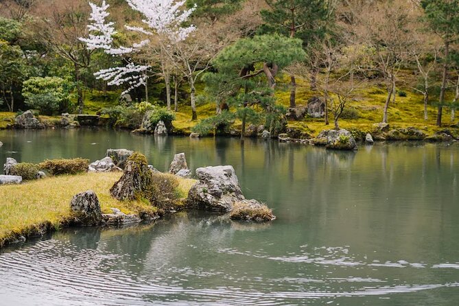 Kyoto Arashiyama Walking Tour: Bamboo, Monkeys, Gardens & Secrets - Walking the Bamboo Grove without stopping there
