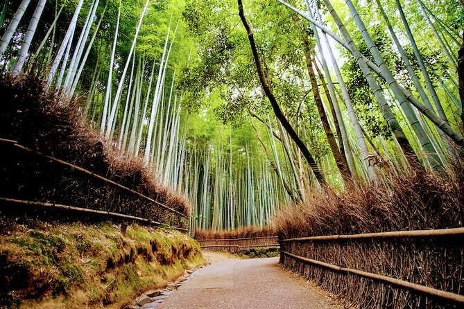 Kyoto Arashiyama Walking Tour: Bamboo, Monkeys, Gardens & Secrets - Tenryuji Temple and its Sogenchi Garden