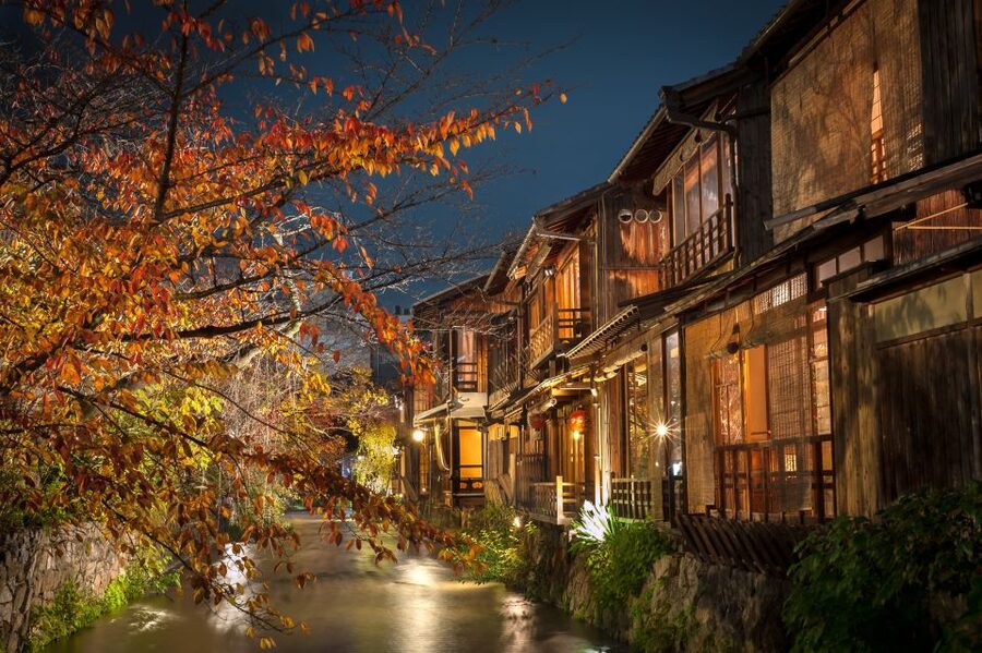 Kyoto: Gion Sunset Walking Tour with Local Guide - Maruyama Park and Yasaka Shrine after dark
