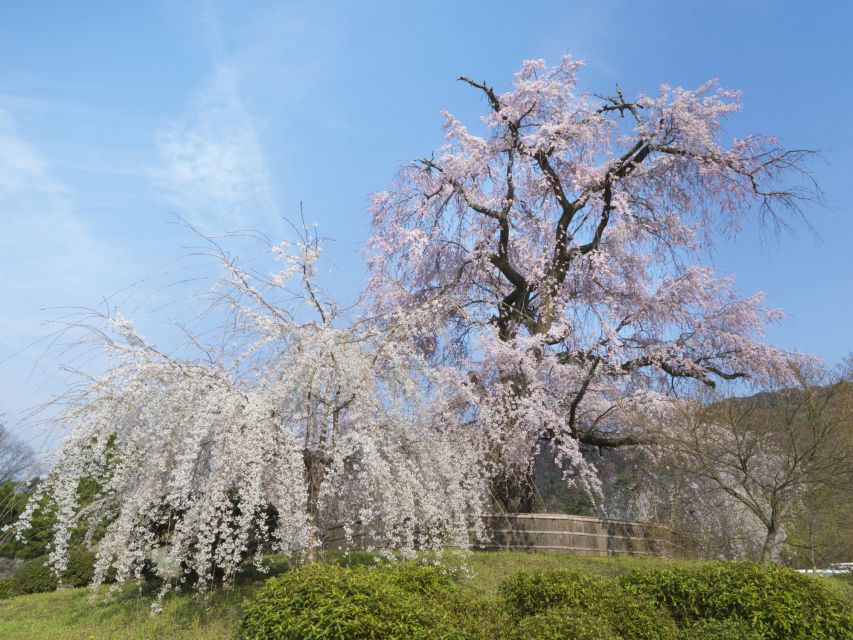 Kyoto: Private 2.5 Hour Historical Walking Tour - Koshindo and the outside view of Yasaka-no-to