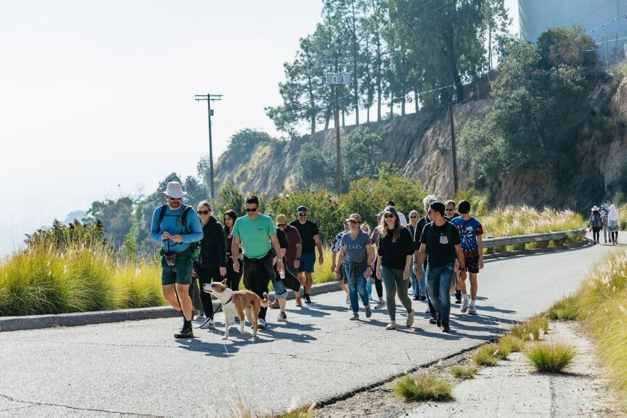 LA: Express Hollywood Sign Guided Walking Tour with Photos - Who Should Book This Walk?