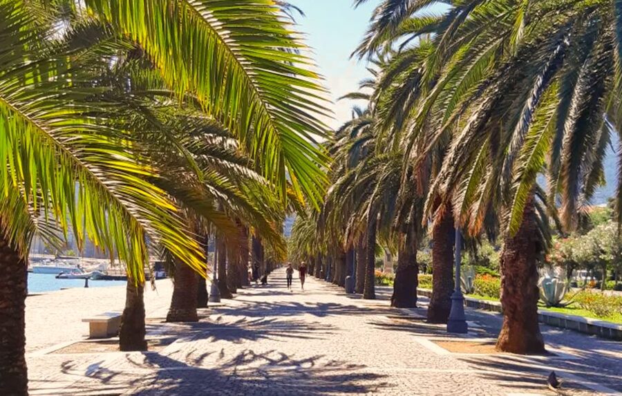 La Spezia: Guided Walking Tour with Italian-Inspired Music - Key details that shape the experience
