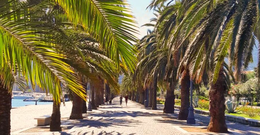 La Spezia: Guided Walking Tour with Italian-Inspired Music - Meeting Clemens beside the palm-lined promenade