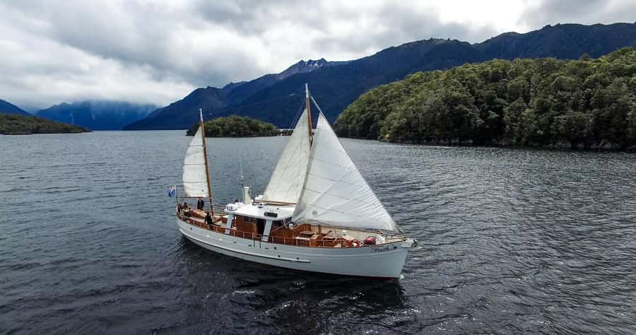 Lake Te Anau: 3-Hour Boat Cruise with Guided Walk - Who should book this cruise?