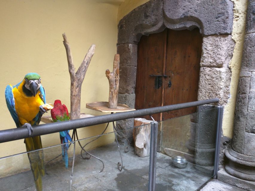 Las Palmas: Private Old City Guided Walking Tour with Tapas - Vegueta, where Las Palmas begins to make sense