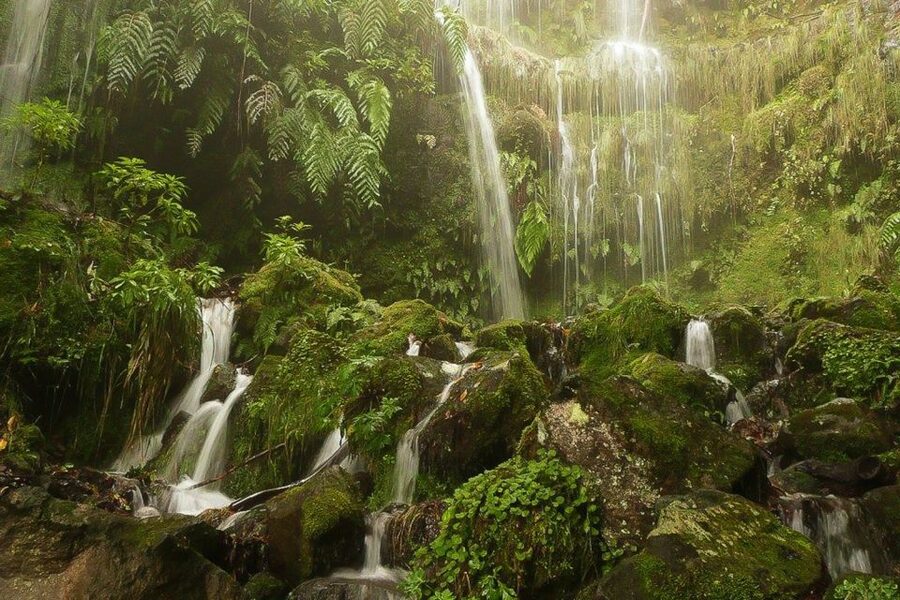 Levada Walk and Caldeirao Verde Waterfalls: Madeira - Key Points Before You Book