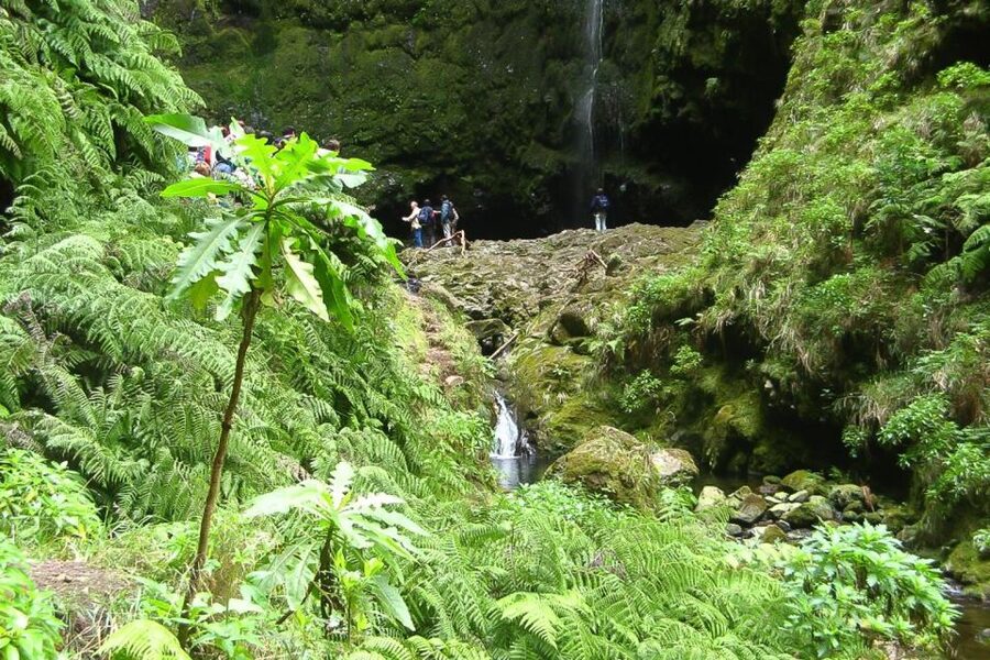 Levada Walk and Caldeirao Verde Waterfalls: Madeira - Tunnels, Narrow Ledges, and the Height Factor