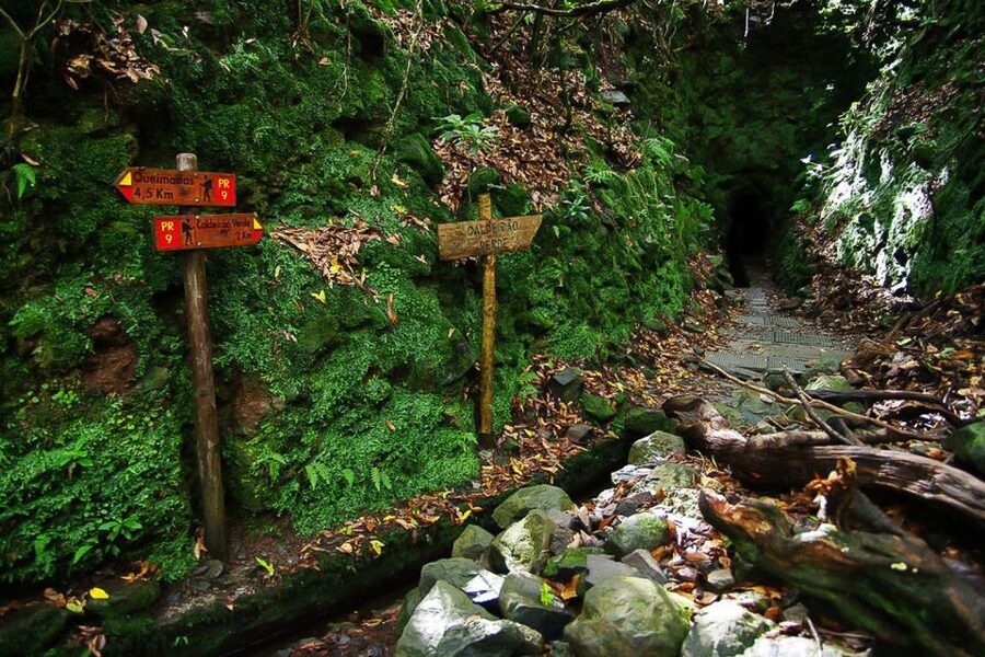 Levada Walk and Caldeirao Verde Waterfalls: Madeira - Guide Quality and Group Pace