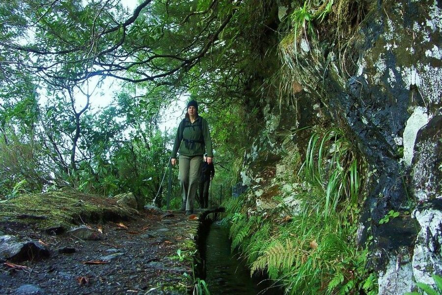Levada Walk and Caldeirao Verde Waterfalls: Madeira - Through Laurisilva Forest and Open Mountain Views