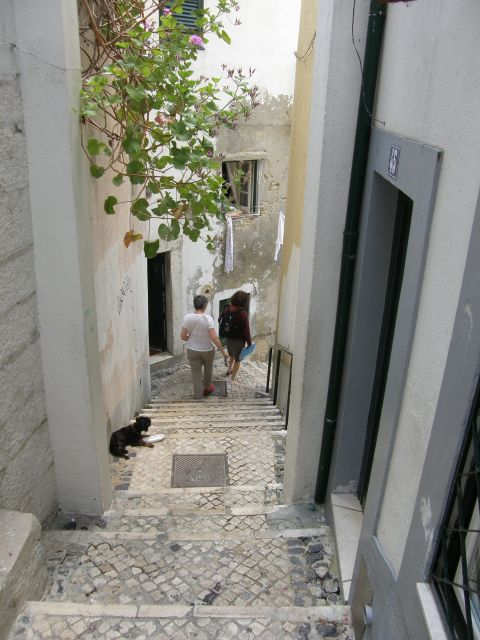 Lisbon: Alfama and São Jorge Castle Quarters Walking Tour - Starting beside Lisbon’s House of Spikes