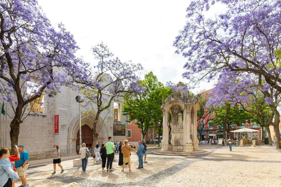 Lisbon: History, Stories and Lifestyle Walking Tour - Santa Justa and Baixa show Lisbon’s central stage