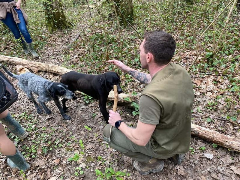 Livade: Guided Truffle Hunting Walking Tour - Starting near Livade’s Parenzana museum