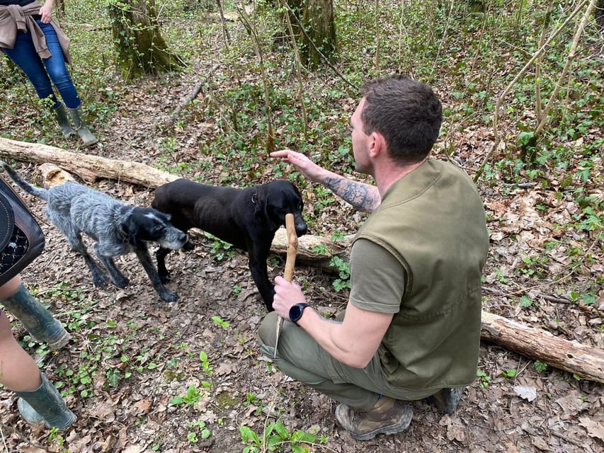 Livade: Guided Truffle Hunting Walking Tour - Nikola Tarandek’s personal approach