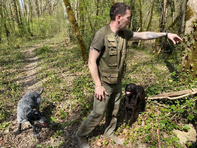 Livade: Guided Truffle Hunting Walking Tour - Who will enjoy this most?