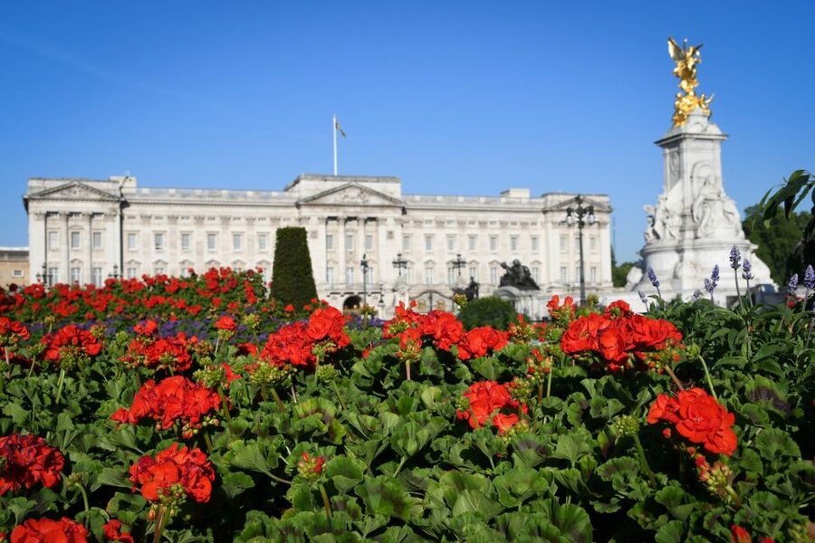 London: British Royalty Walking Tour - Buckingham Palace and the ceremony question