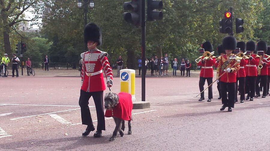 London: Changing of the Guard Walking Tour - Clarence House and the royal route