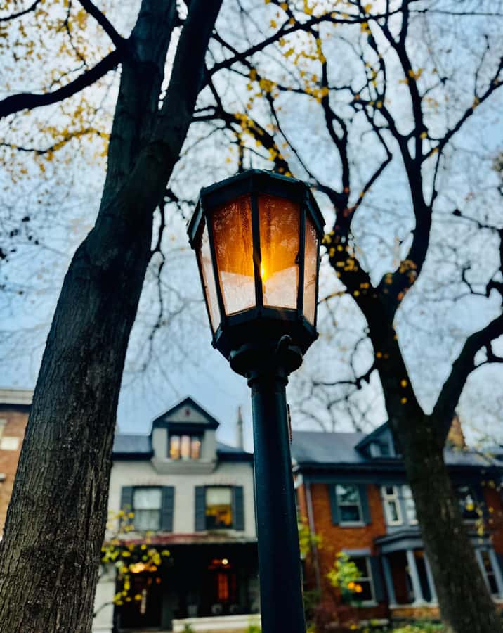 Louisville: Old Louisville Walking Ghost Tour - The Witches’ Tree and Old Louisville’s legends