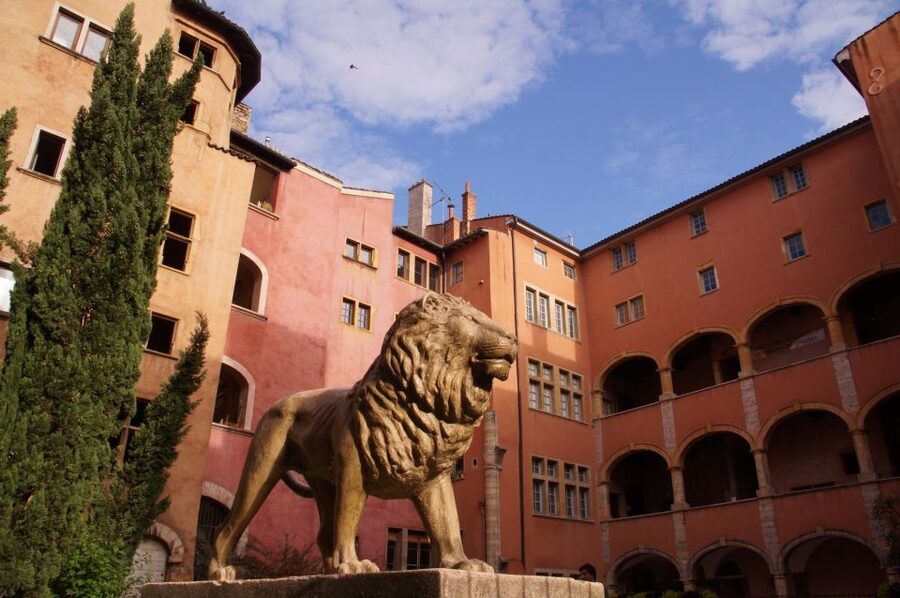 Lyon: Old District Private Guided Walking Tour - Who should book this Lyon walking tour?