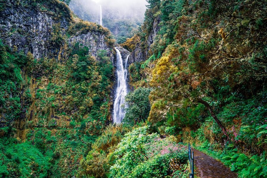 Madeira: Enjoy a Guided Levada Walk in the Rabaçal Valley - Why the Rabaçal Valley Is Worth Your Day
