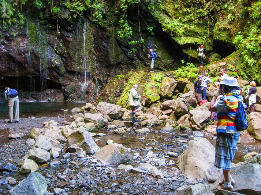 Madeira: Enjoy a Guided Levada Walk in the Rabaçal Valley - The 800-Meter Tunnel and the Return Route