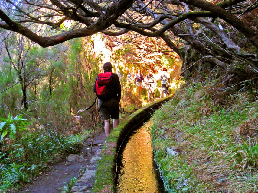 Madeira: Enjoy a Guided Levada Walk in the Rabaçal Valley - Flora, Birds, and the Value of a Guide