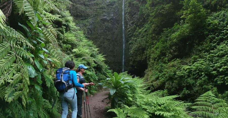 Madeira Island: Caldeirão Verde Levada Walk - What to pack for a wet, uneven trail