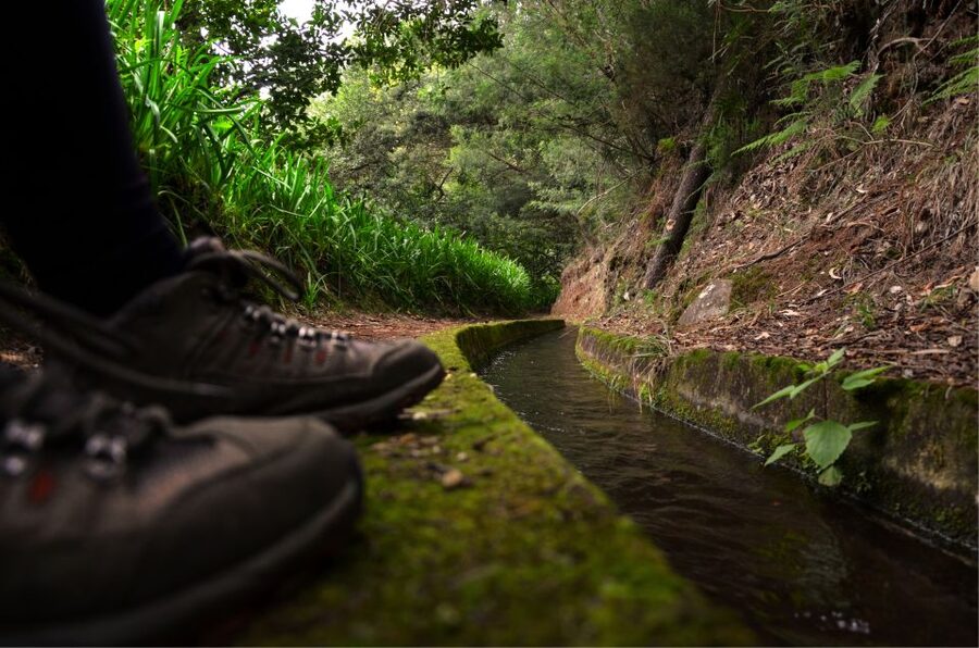 Madeira Island: Caldeirão Verde Levada Walk - Queimadas Forest Park feels like a storybook entrance