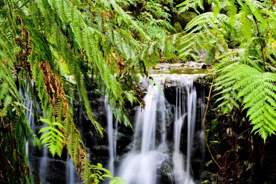 Madeira Island: Caldeirão Verde Levada Walk - Four tunnels add a little adventure