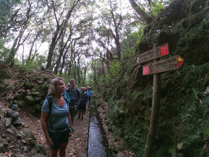 Madeira Island: Caldeirão Verde Levada Walk - The guide can shape the whole day