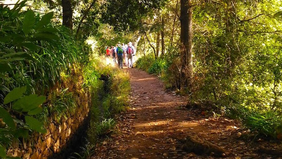 Madeira: Paradise Valley Levada Walk - Key details at a glance