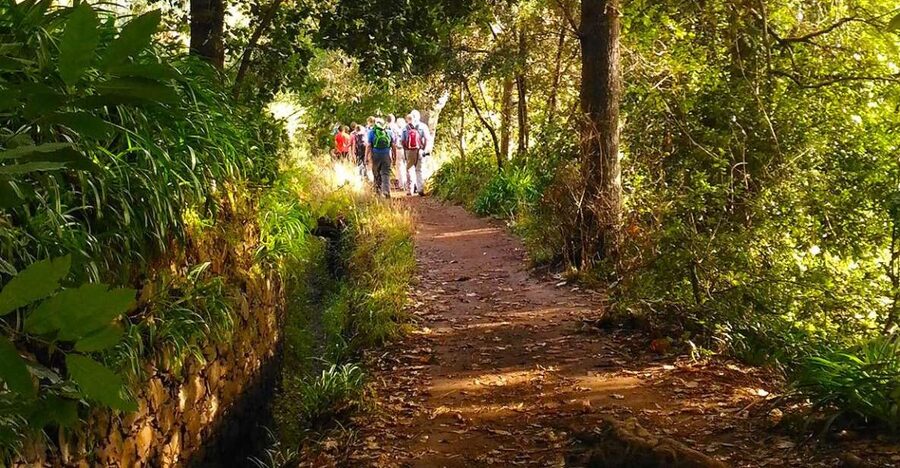 Madeira: Paradise Valley Levada Walk - Why this walk is different from a standard Madeira outing