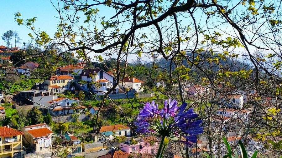 Madeira: Paradise Valley Levada Walk - Reaching Rochão and viewing Camacha