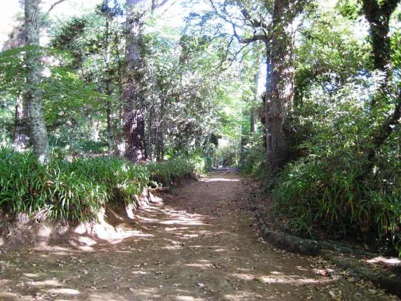 Madeira: Paradise Valley Levada Walk - The café stop and local fruit