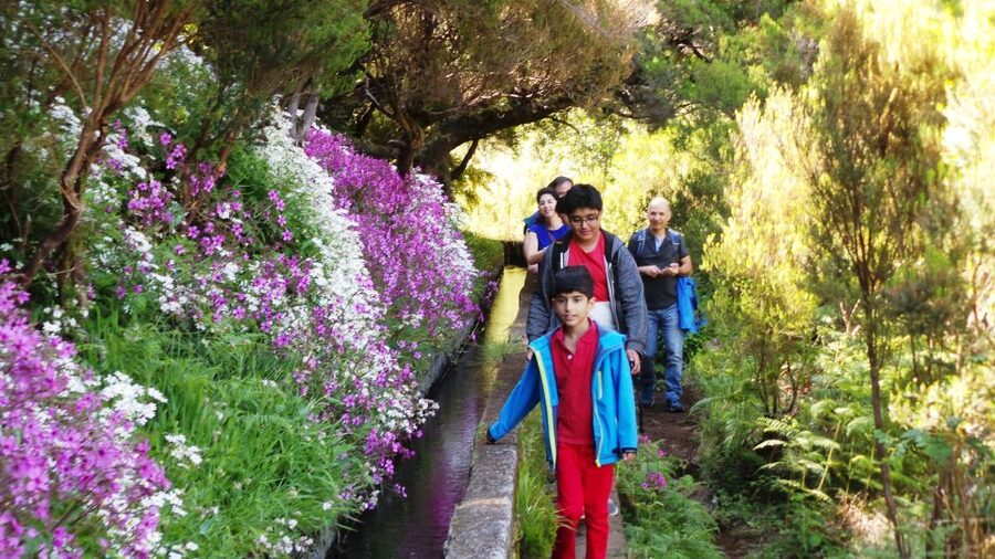 Madeira: Rabaçal 25 Fountains Levada Walk & Cabo Girão - Why this full-day route works