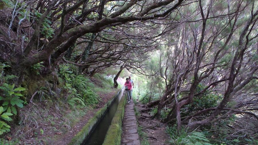 Madeira: Rabaçal 25 Fountains Levada Walk & Cabo Girão - Crowds, timing, and the reality of Rabaçal
