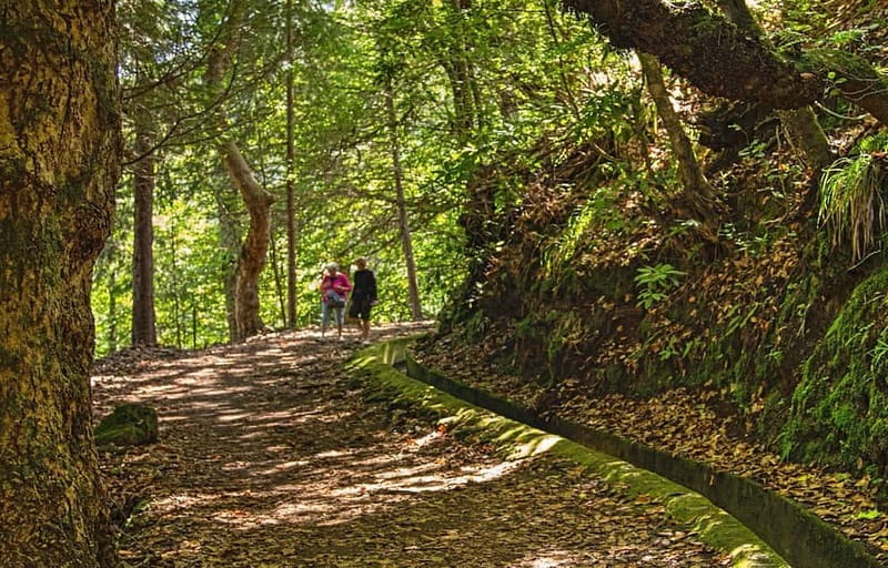 Madeira: Santana Jeep Safari and Referta Levada Walk - Guides, Jeeps, and the human side of the tour