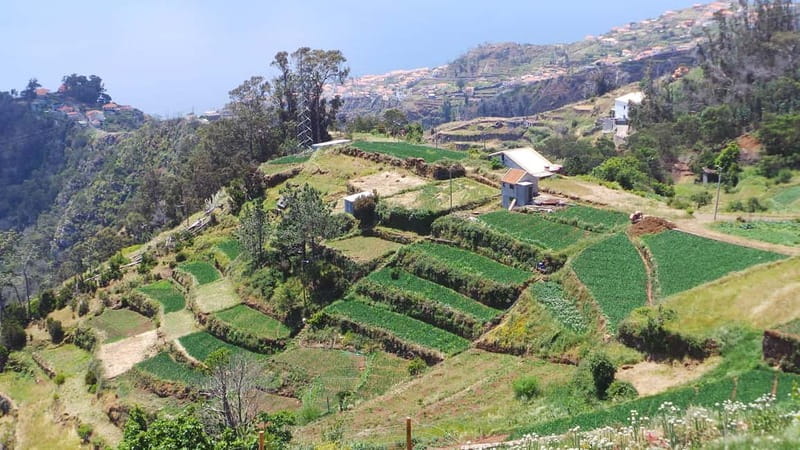 Madeira: Santana Jeep Safari and Referta Levada Walk - Faial and the road toward Santana