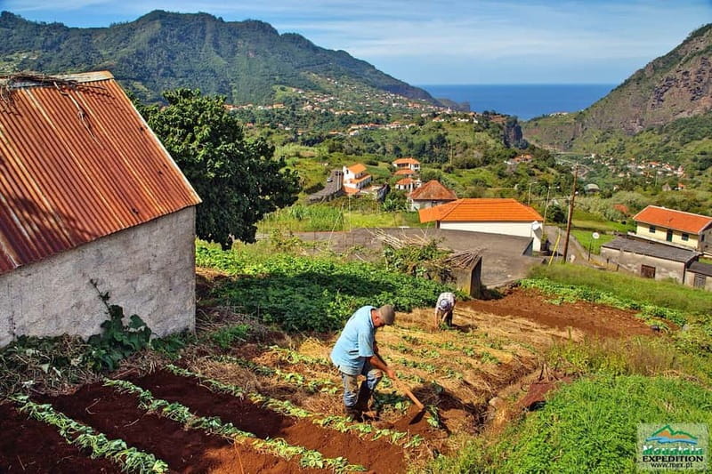 Madeira: Santana Jeep Safari and Referta Levada Walk - Porto da Cruz and the rum tradition