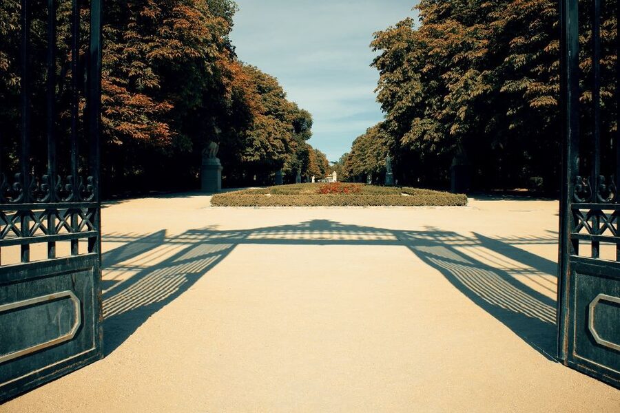 Madrid: 1.5-Hour Retiro Park Guided Walking Tour - The lake and Alfonso XII monument