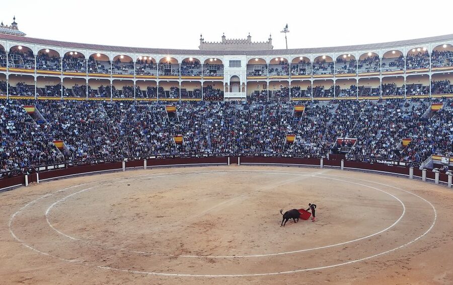 Madrid: Private Walking Tour with a Local - How much time should you book?