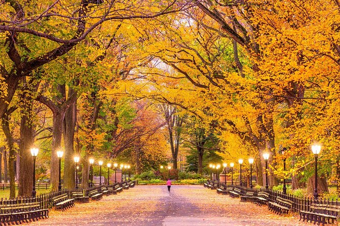 Manhattan Neighborhood Private Customized Walking Tour - Key points at a glance